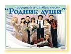 Народный вокальный ансамбль «Родник души»